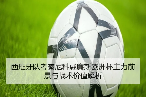 西班牙队考察尼科威廉斯欧洲杯主力前景与战术价值解析