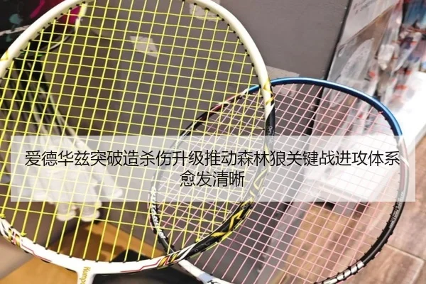 爱德华兹突破造杀伤升级推动森林狼关键战进攻体系愈发清晰